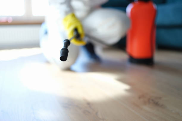 Best Mold Remediation for Rental Properties  in Bridgeport, MI